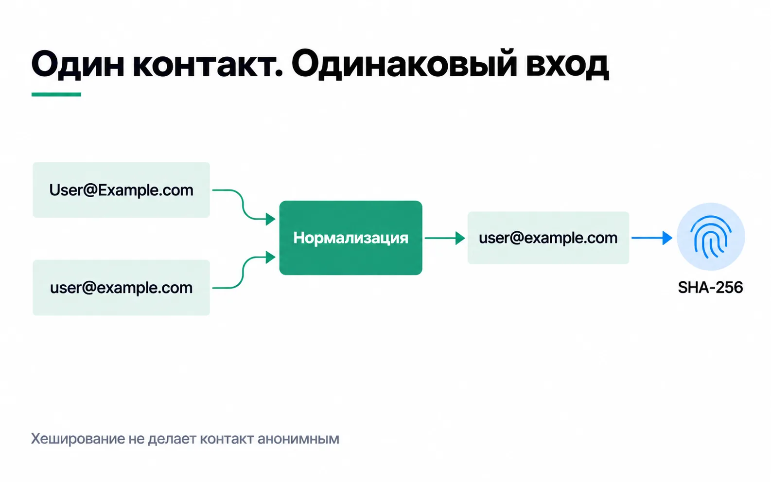 Two spellings of one address, User@Example.com and user@example.com, become the single string user@example.com after normalisation, and only that string goes into SHA-256.